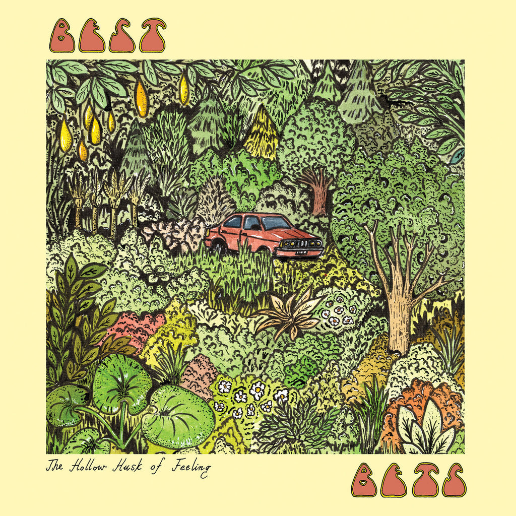 BEST BETS 'The Hollow Husk Of Feeling' LP