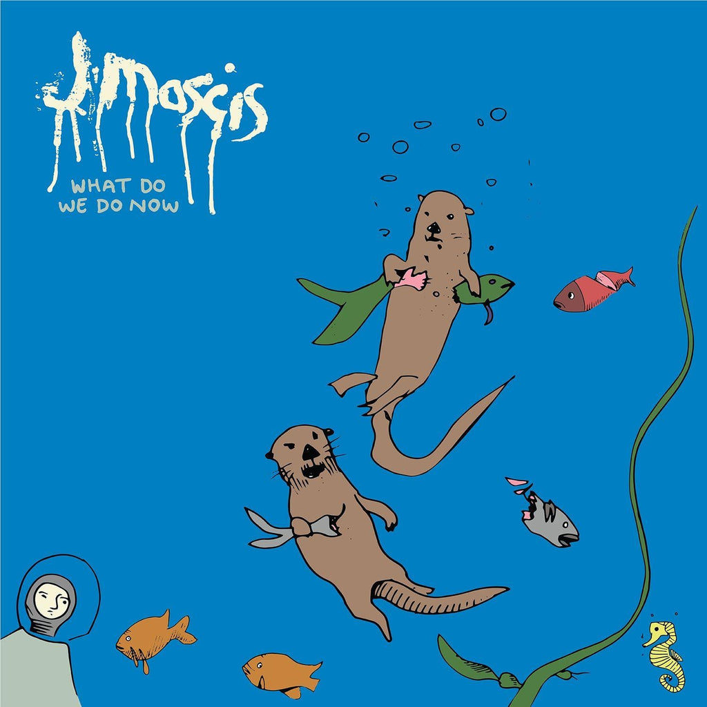 J MASCIS 'What Do We Do Now' LP