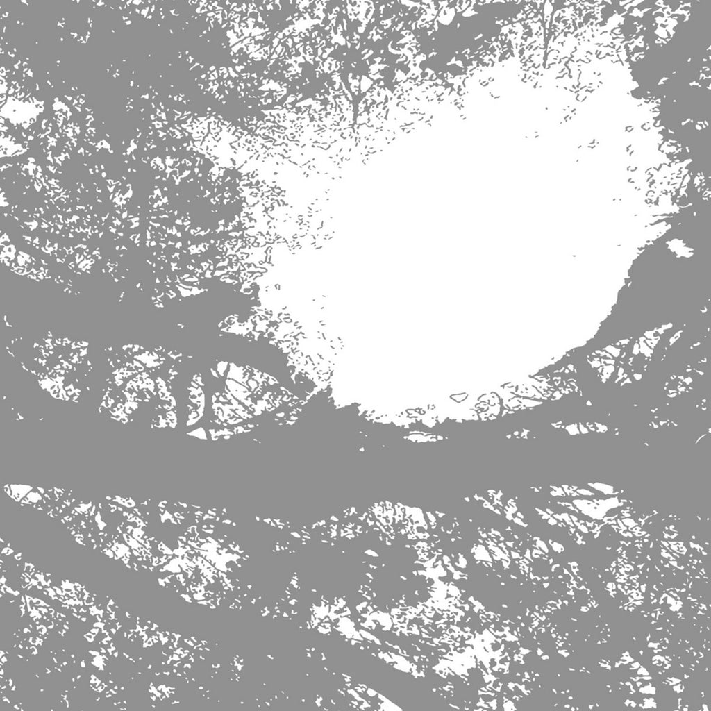 COMETS ON FIRE 'Field Recordings From The Sun' LP