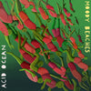 MOODY BEACHES 'Acid Ocean' LP + T-Shirt