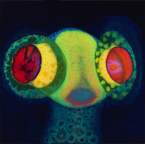 OSEES 'Sorcs 80' LP