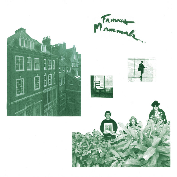 FAMOUS MAMMALS 'Famous Mammals' LP