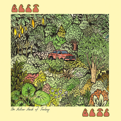 BEST BETS 'The Hollow Husk Of Feeling' LP
