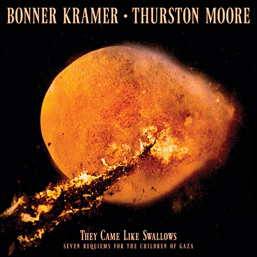 BONNER KRAMER & THURSTON MOORE 'They Came Like Swallows' LP