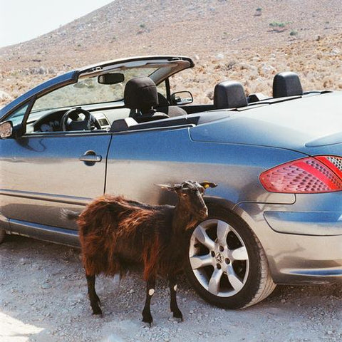 EXEK 'Prove The Mountains Move' LP