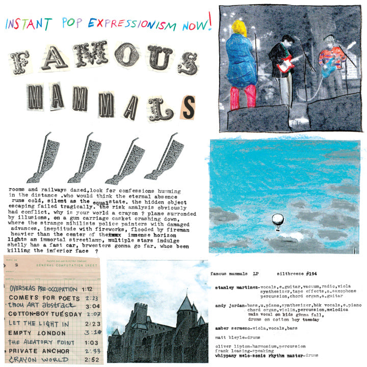 FAMOUS MAMMALS 'Instant Pop Expressionism' LP