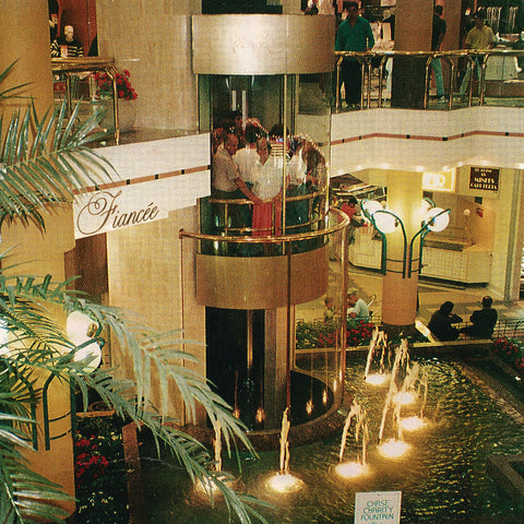 FIANCEE 'Fiancee' LP