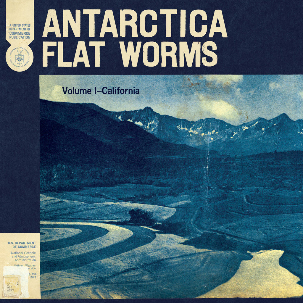 FLAT WORMS 'Antarctica' LP