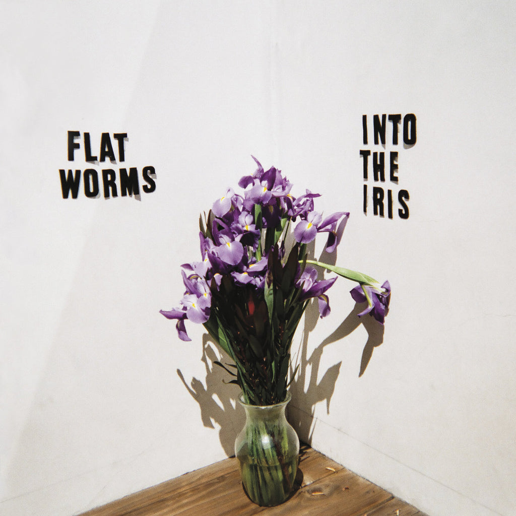 FLAT WORMS 'Into The Iris' LP