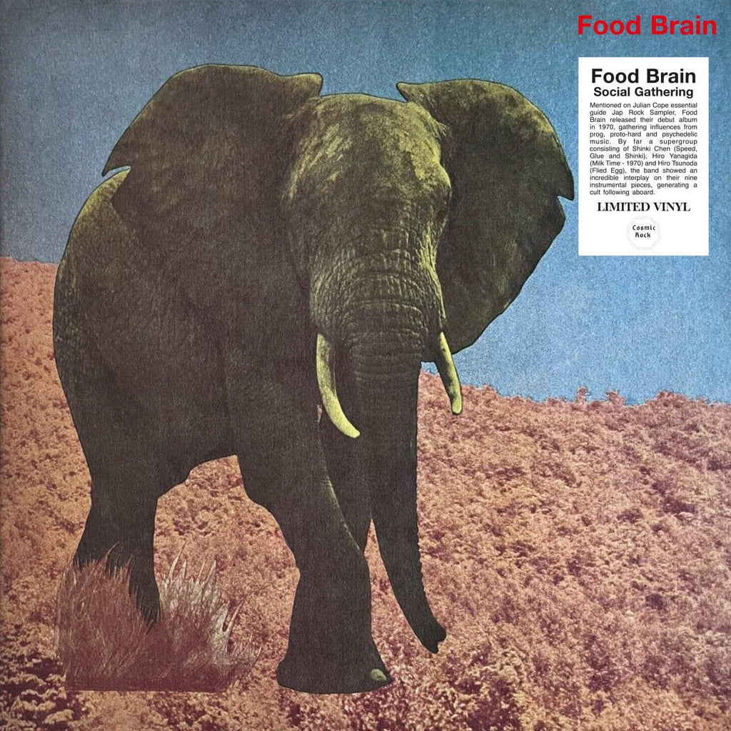 FOOD BRAIN 'Social Gathering' LP