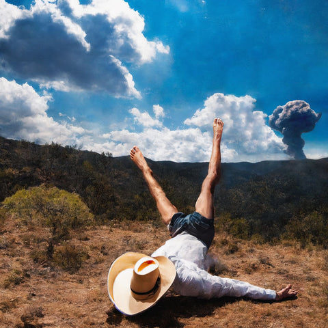 GEESE '3D Country' LP