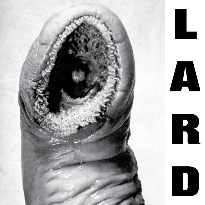 LARD 'The Power Of Lard' LP