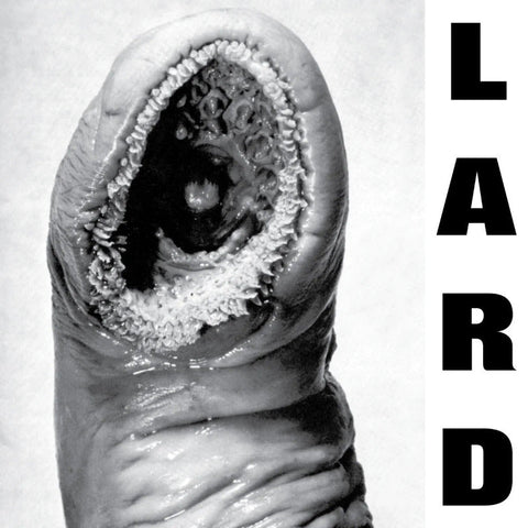 LARD 'The Power Of Lard' LP