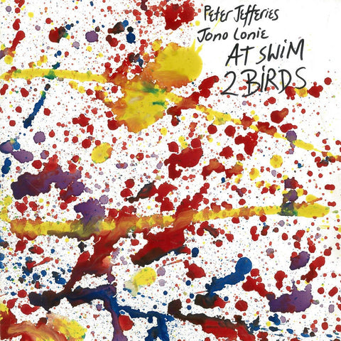 PETER JEFFERIES 'At Swim Two Birds' LP