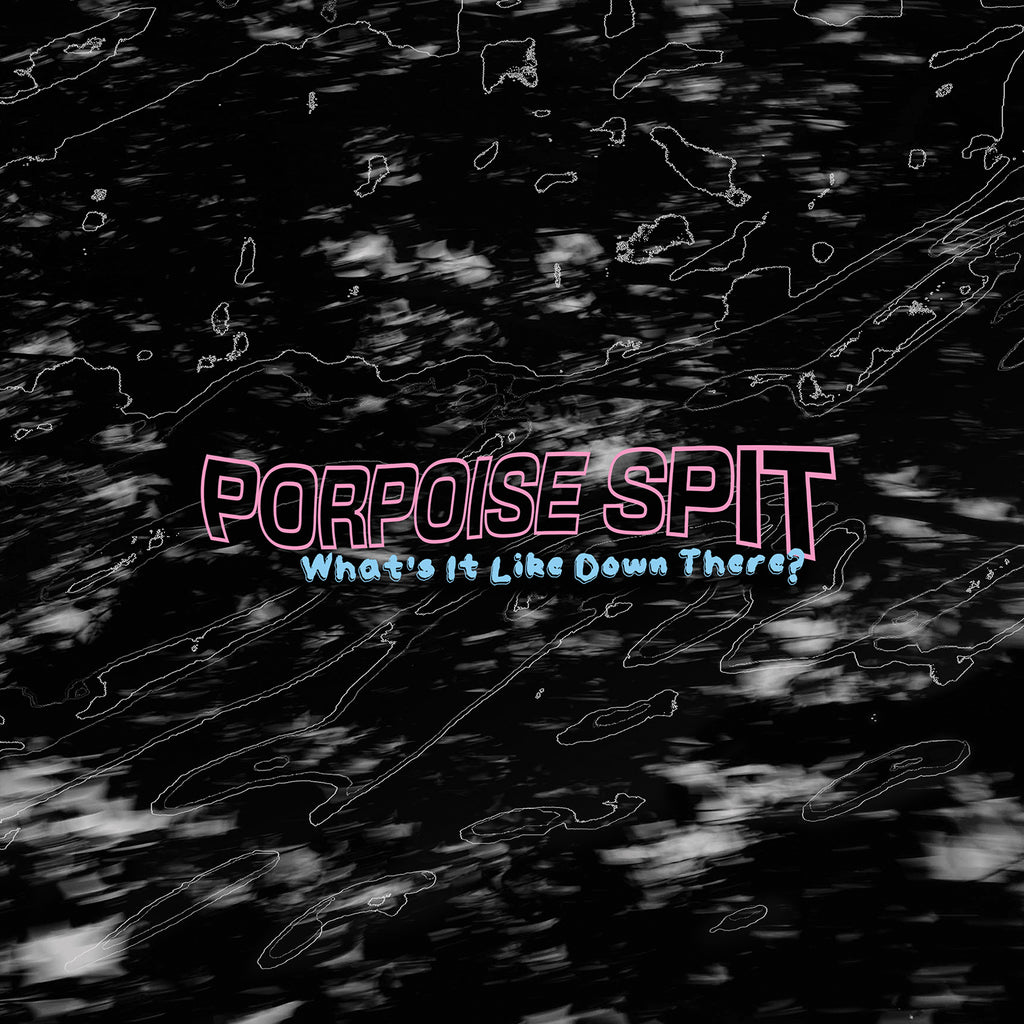 PORPOISE SPIT 'What's It Like Down There?' LP