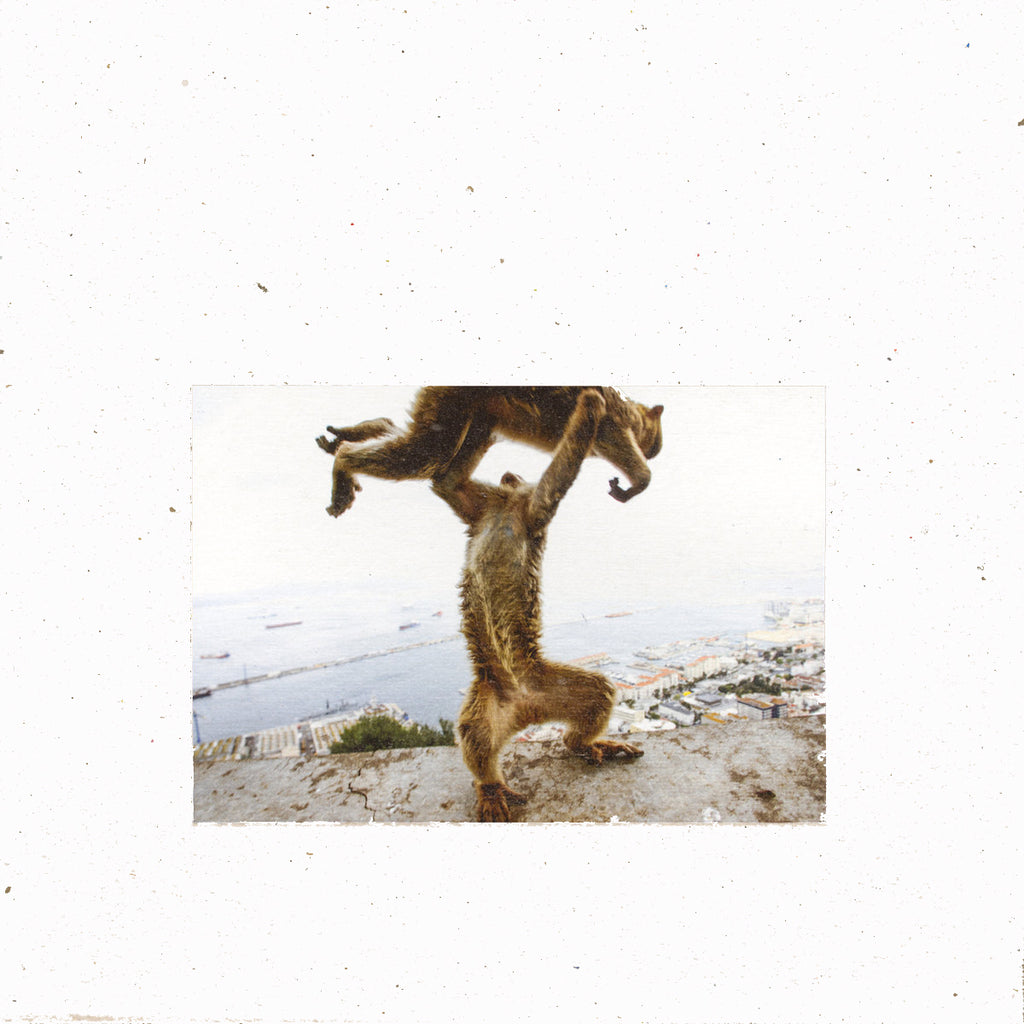SHELLAC 'Dude Incredible' 2LP