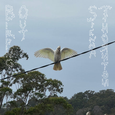 SIENNA THORNTON 'Birding Out' LP
