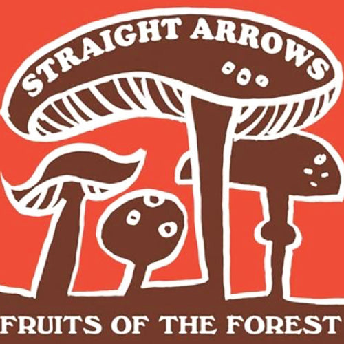 STRAIGHT ARROWS 'Fruits Of The Forest' LP