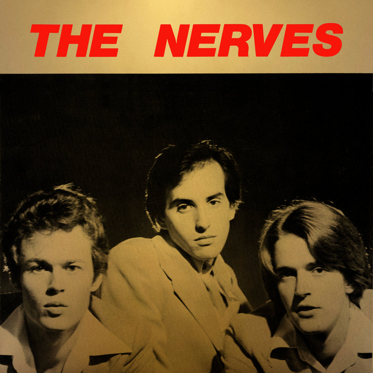 THE NERVES 'Best Collection' 2LP