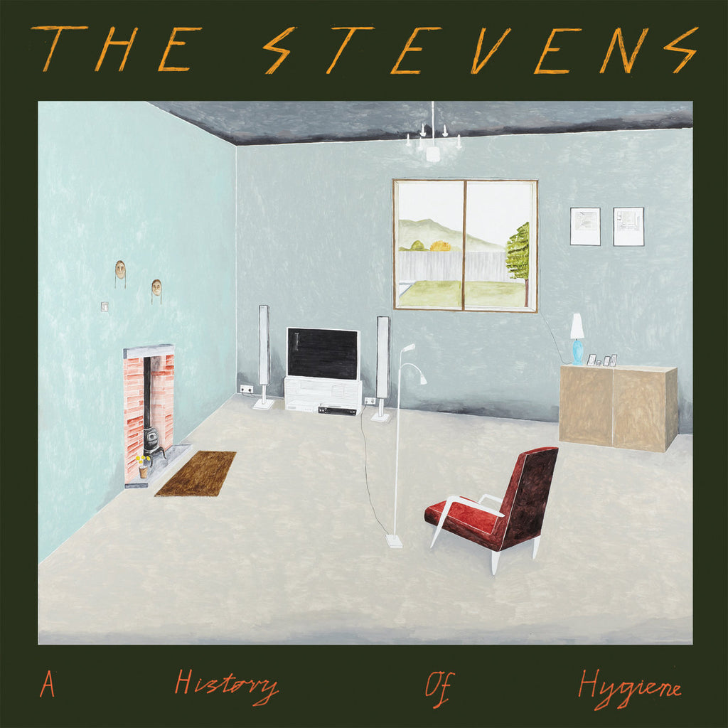 THE STEVENS 'A History Of Hygiene' LP