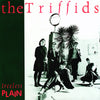 THE TRIFFIDS 'Treeless Plain' LP