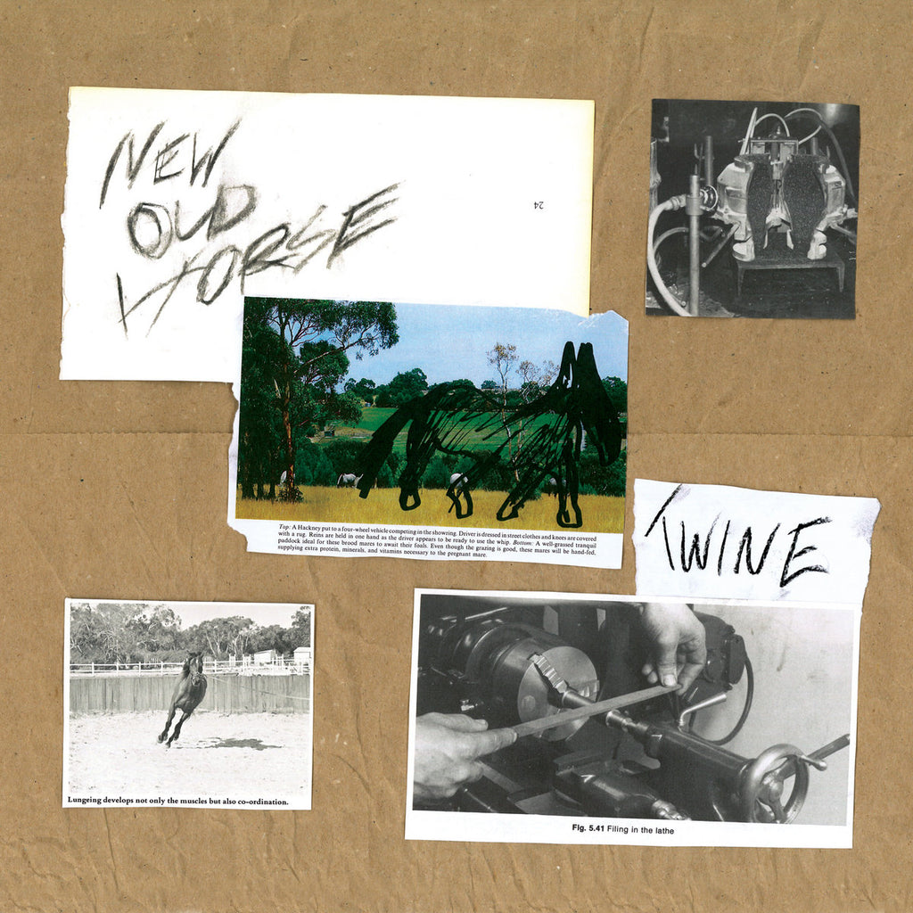 TWINE 'New Old Horse' LP