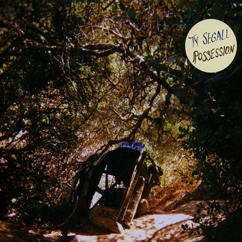 TY SEGALL 'Possession' LP