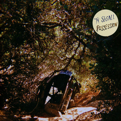 TY SEGALL 'Possession' LP