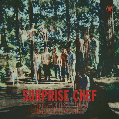SURPRISE CHEF 'Friendship' LP