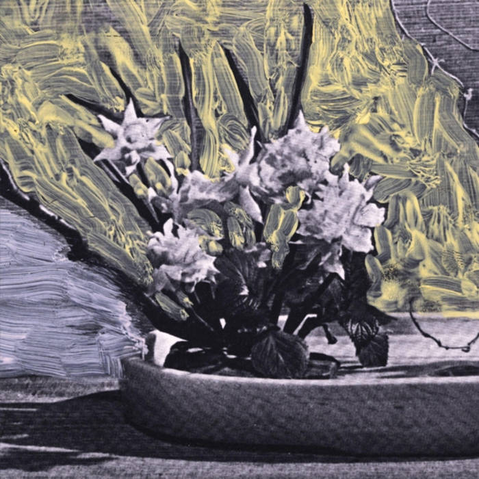 WHITE WALLS 'White Walls' CD