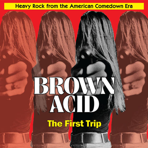 V/A 'Brown Acid: The First Trip' LP