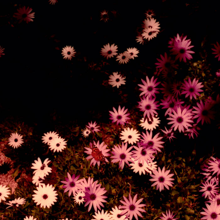 RAT COLUMNS 'Babydoll' LP