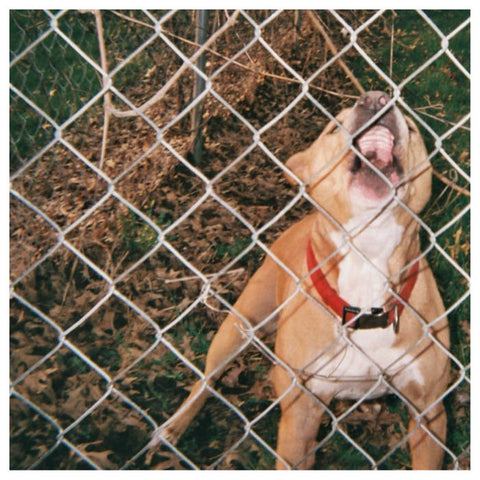 KNOCKED LOOSE 'Pop Culture' LP