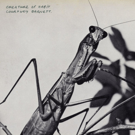 COURTNEY BARNETT 'Creature Of Habit' CD