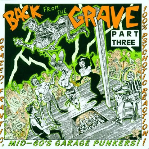 V/A 'Back From The Grave Volume 3' LP