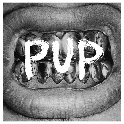PUP 'Pup' LP