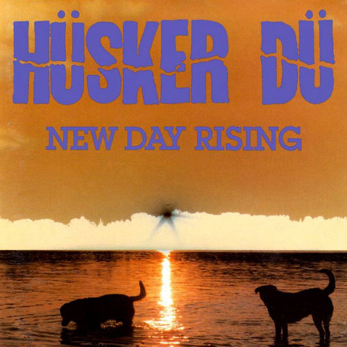 HUSKER DU 'New Day Rising' LP