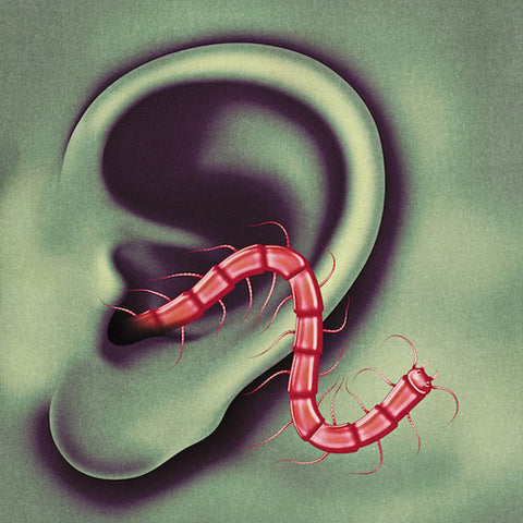 THEE OH SEES 'An Odd Entrances' LP