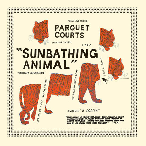PARQUET COURTS 'Sunbathing Animal' LP