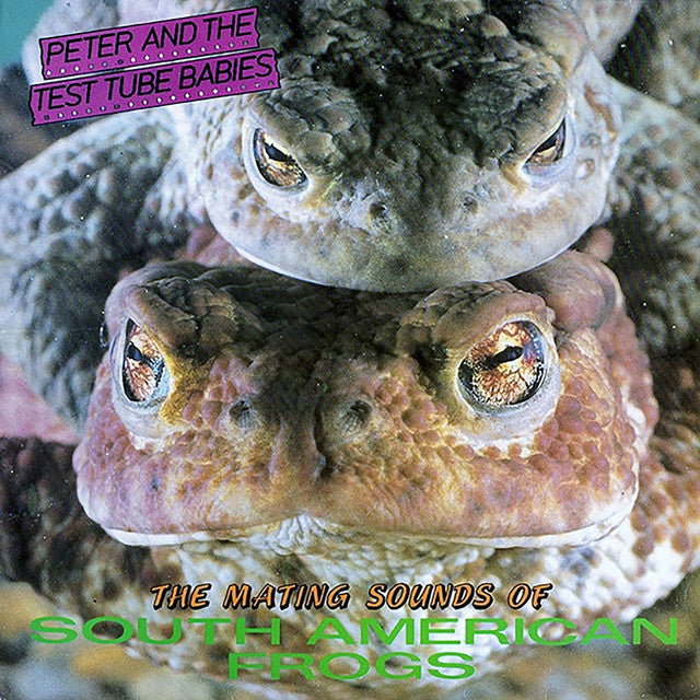 PETER & THE TEST TUBE BABIES 'The Mating Sounds Of South American Frogs' LP
