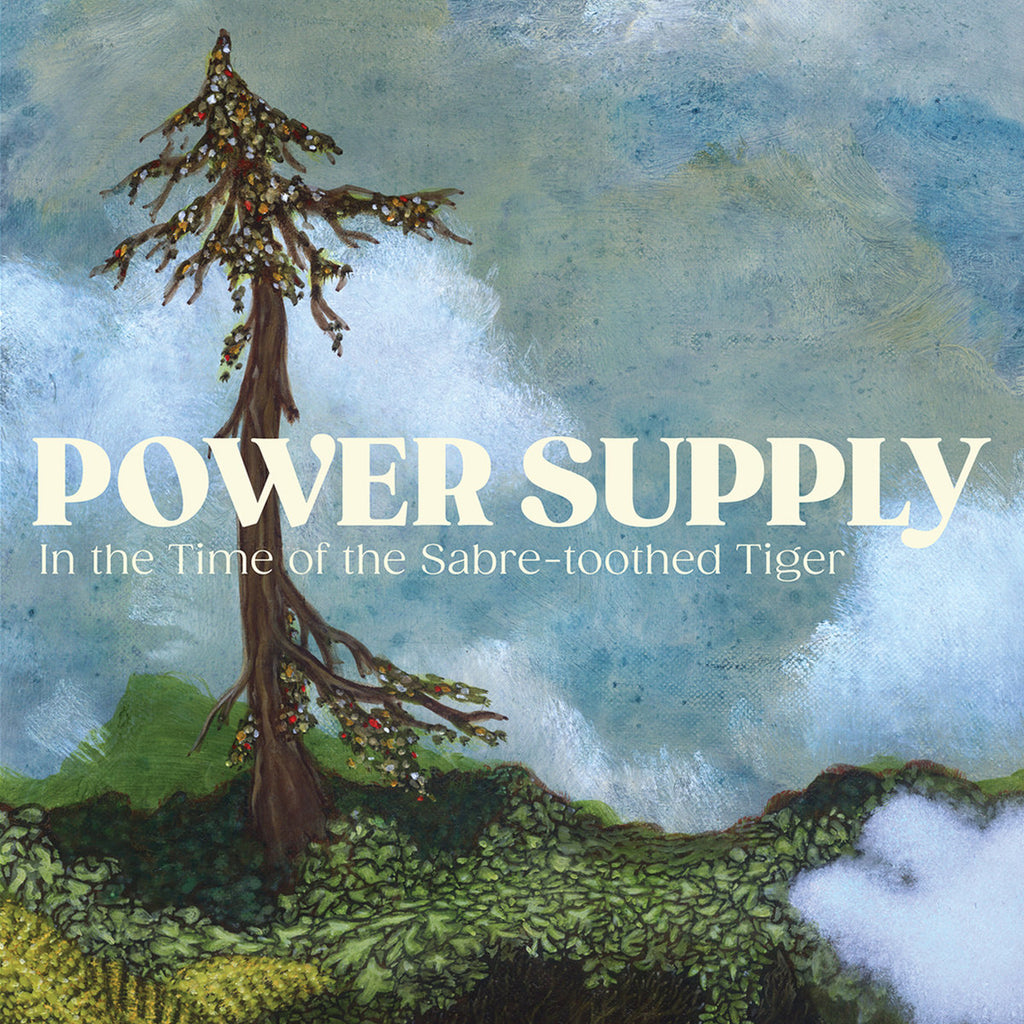 POWER SUPPLY 'In the Time of the Sabre-toothed Tiger' LP
