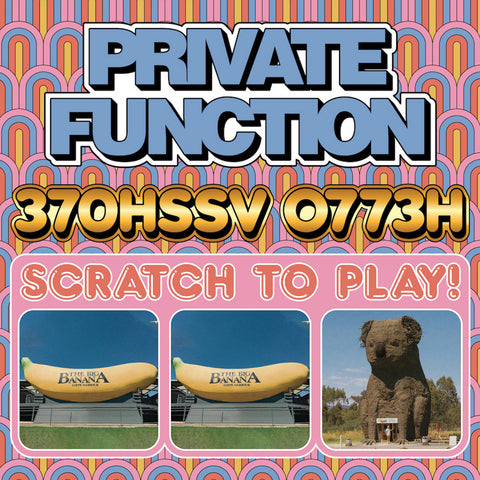 PRIVATE FUNCTION '370HSSV 0773H' LP