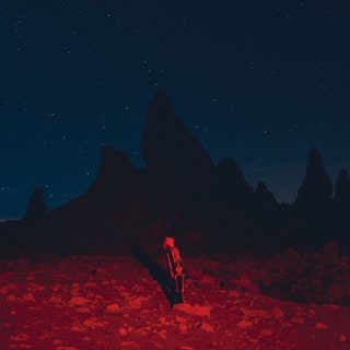 PHOEBE BRIDGERS 'Punisher' LP