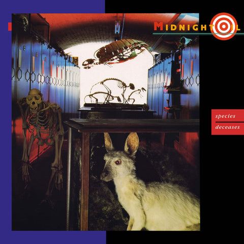 MIDNIGHT OIL 'Species Deceases' 12"