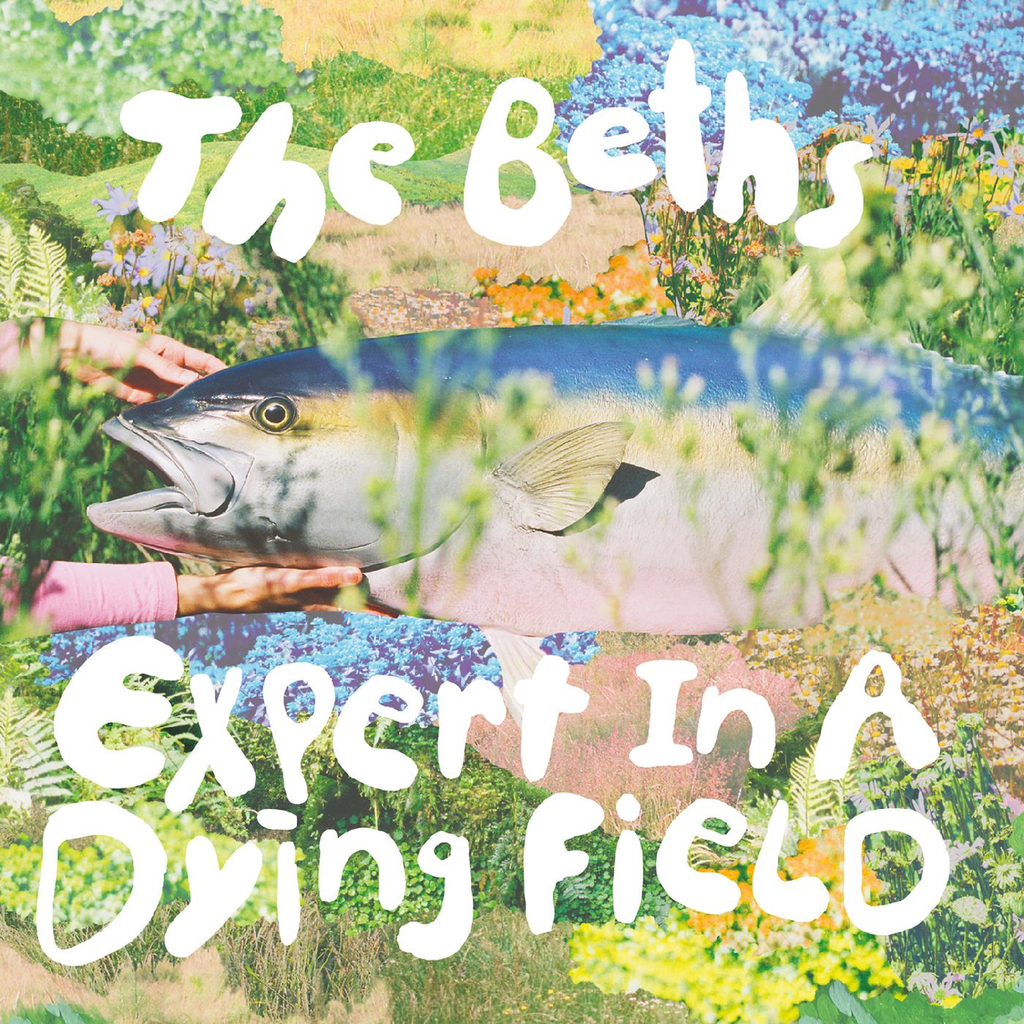 THE BETHS 'Expert In Dying Field' LP