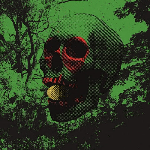 JOHN DWYER + NICK MURRAY + BRAD CAULKINS + GREG COATES + TOM DOLAS 'Witch Egg' LP