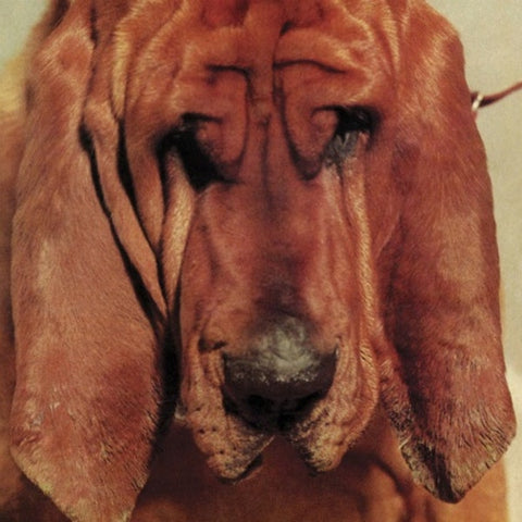 TY SEGALL 'Goodbye Bread' LP