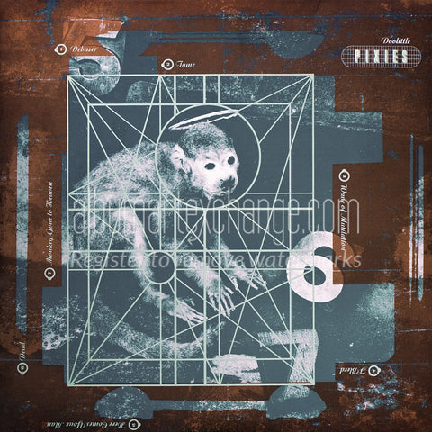 PIXIES 'Doolittle' LP